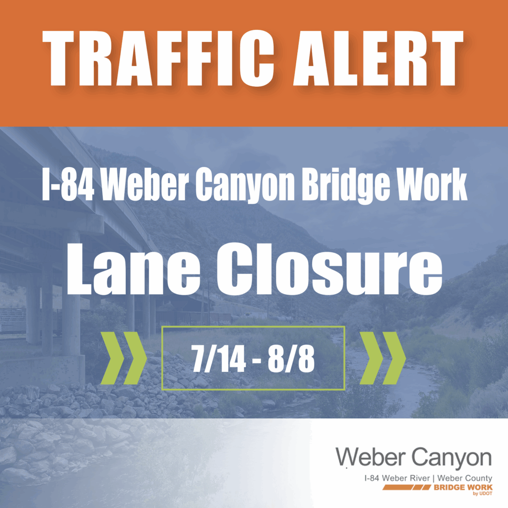 This image has an empty alt attribute; its file name is Screenshot-2025-06-20-at-1.07.05%E2%80%AFPM-1024x1024.png