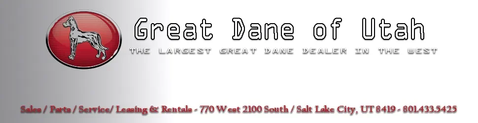 Great-Dane